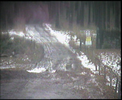 Nástup na běžecké tratě