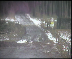 Nástup na běžecké tratě