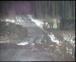 Nástup na běžecké tratě