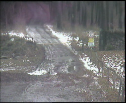 Nástup na běžecké tratě