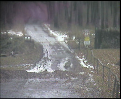 Nástup na běžecké tratě