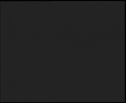 Nástup na běžecké tratě