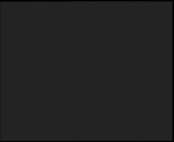 Nástup na běžecké tratě