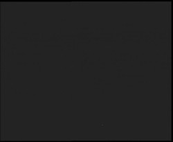 Nástup na běžecké tratě