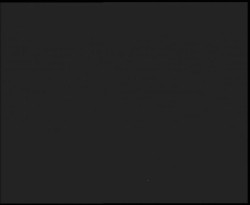 Nástup na běžecké tratě