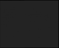 Nástup na běžecké tratě