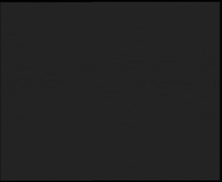 Nástup na běžecké tratě