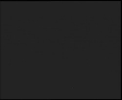 Nástup na běžecké tratě