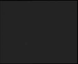 Nástup na běžecké tratě