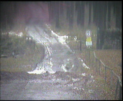 Nástup na běžecké tratě