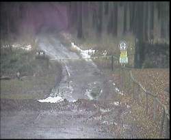 Nástup na běžecké tratě