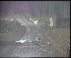 Nástup na běžecké tratě