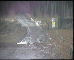 Nástup na běžecké tratě