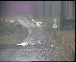 Nástup na běžecké tratě