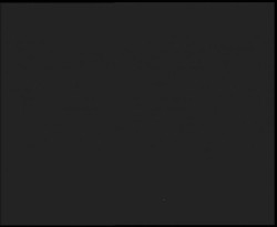 Nástup na běžecké tratě