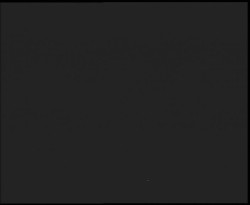 Nástup na běžecké tratě