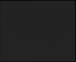 Nástup na běžecké tratě