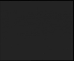 Nástup na běžecké tratě