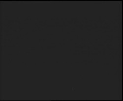 Nástup na běžecké tratě