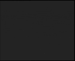 Nástup na běžecké tratě