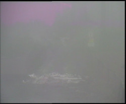 Nástup na běžecké tratě