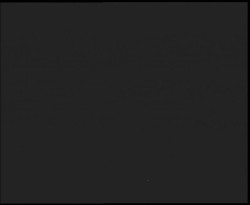 Nástup na běžecké tratě