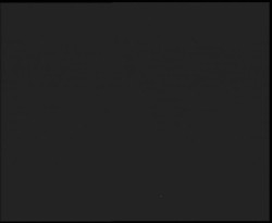 Nástup na běžecké tratě