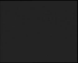 Nástup na běžecké tratě