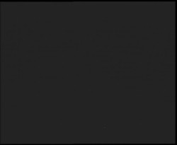 Nástup na běžecké tratě