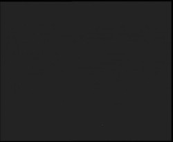 Nástup na běžecké tratě