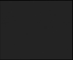 Nástup na běžecké tratě