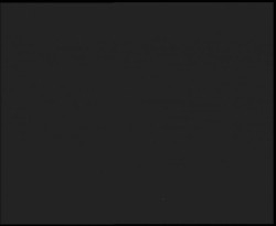 Nástup na běžecké tratě