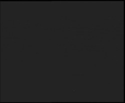 Nástup na běžecké tratě