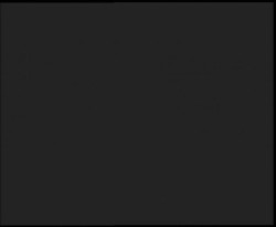 Nástup na běžecké tratě