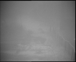 Nástup na běžecké tratě