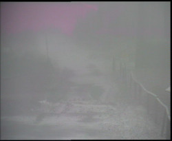 Nástup na běžecké tratě