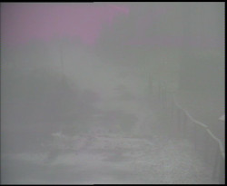 Nástup na běžecké tratě