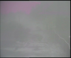 Nástup na běžecké tratě