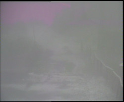 Nástup na běžecké tratě