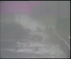 Nástup na běžecké tratě