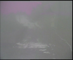 Nástup na běžecké tratě