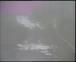 Nástup na běžecké tratě