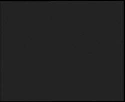 Nástup na běžecké tratě