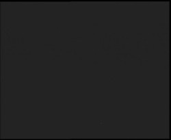 Nástup na běžecké tratě