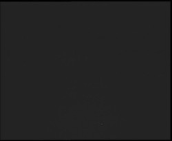 Nástup na běžecké tratě