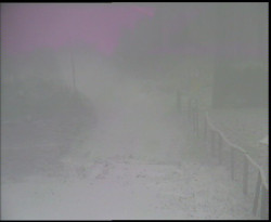 Nástup na běžecké tratě