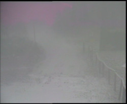 Nástup na běžecké tratě