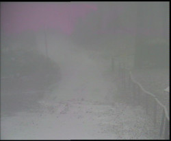 Nástup na běžecké tratě