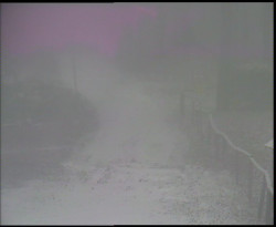 Nástup na běžecké tratě