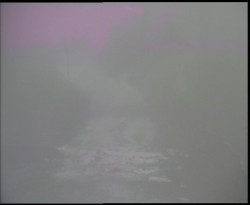 Nástup na běžecké tratě